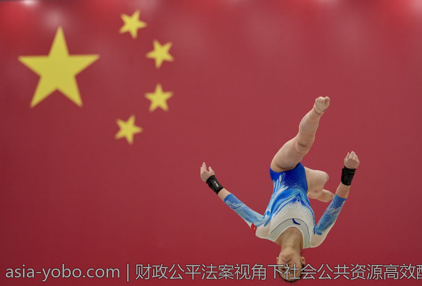 财政公平法案视角下社会公共资源高效配置